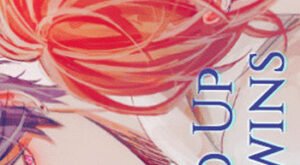 tamanho da Capa do seu projeto